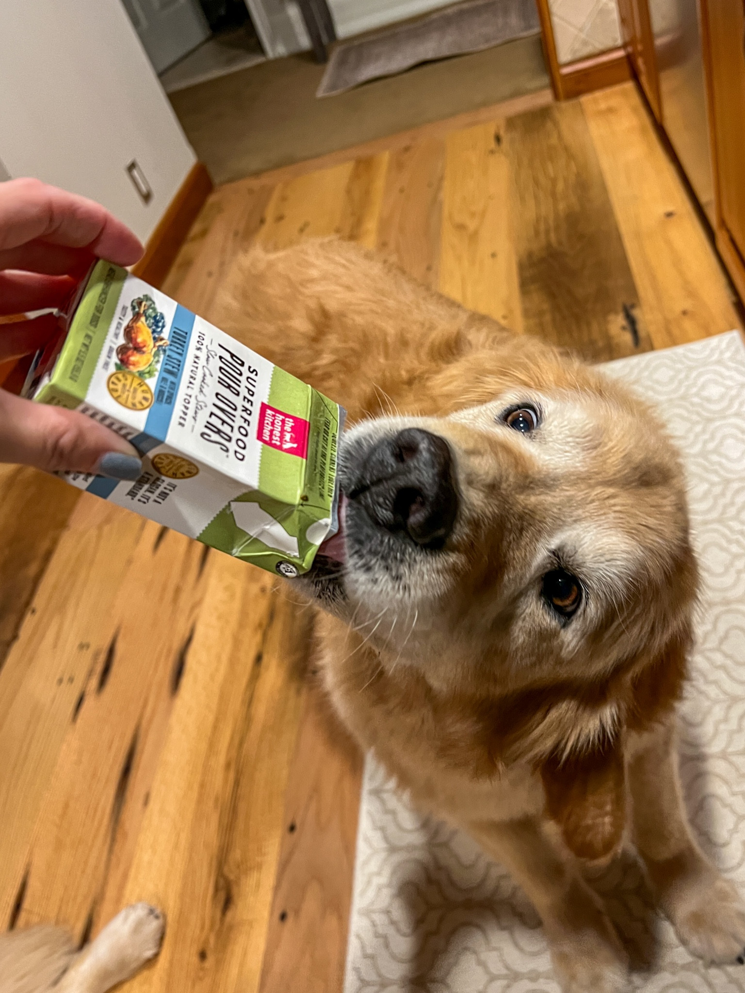 The best topper and way to get your pup to eat their medicine! I mix newts seizure pills with this super good topper and he eats his pill 9.9/10 times! 

#LTKSeasonal #LTKfindsunder50 #LTKfamily