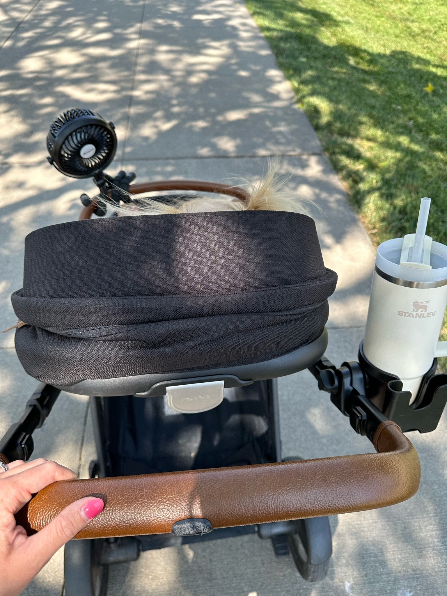 


#LTKkids #LTKfamily #LTKbaby