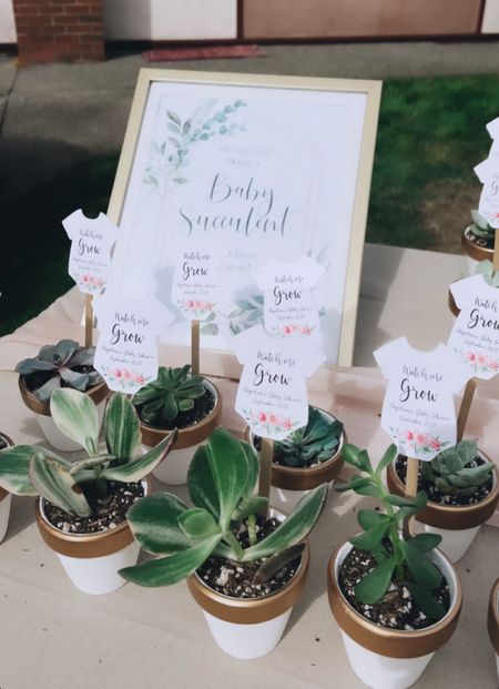 Loved this idea for my baby shower . Baby succulents as party favors ! 

#LTKSeasonal #LTKparties #LTKbaby