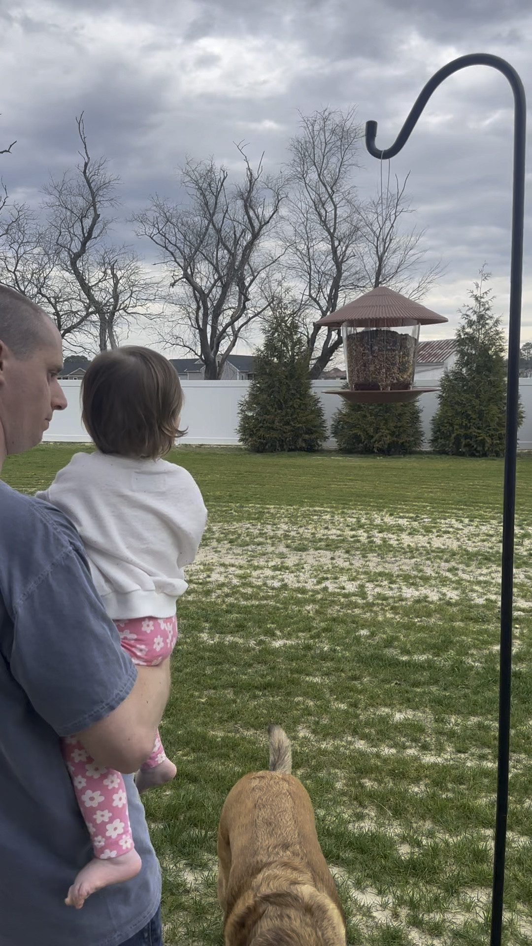 Do yourself a favor and get your little one a bird feeder. She is in love with it and it is the best thing to see!

#LTKkids #LTKhome #LTKfamily