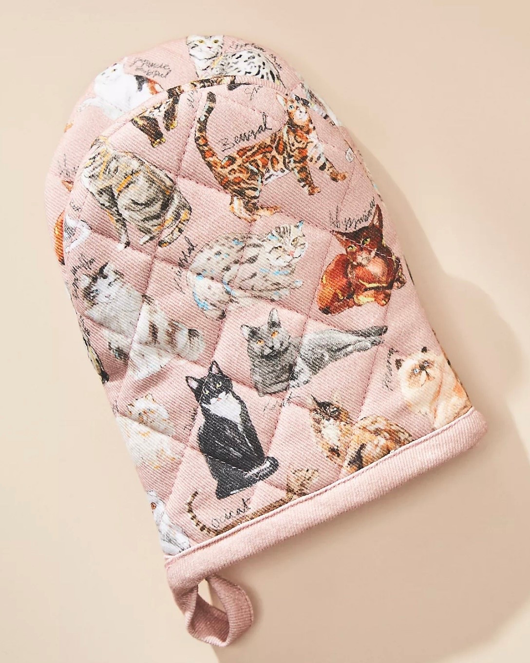 The Anthropologie Cat Breeds A–Z Mini Oven Mitt is the cutest little kitchen upgrade for any cat lover. It’s small, practical, and adds that charming Anthro touch to your cooking space.

Perfect for baking days, cozy kitchen moments, and gifting to your favorite feline-obsessed friend. Functional and adorable — the best combo. 🐾💛


#LTKHoliday #LTKCyberWeek #LTKGiftGuide