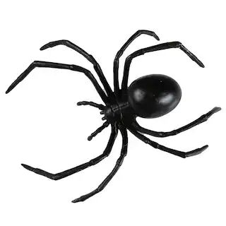 6" Black Widow Spider by Ashland® | Michaels | Michaels Stores