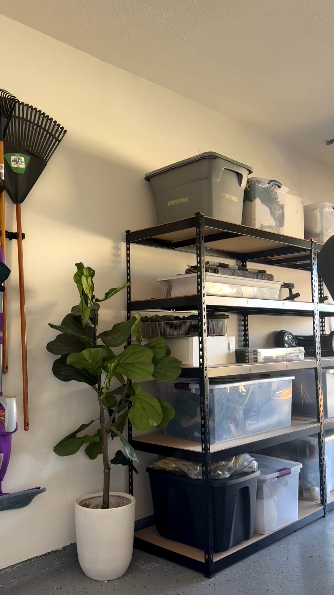 Garage shelves 

#LTKmomlife #LTKHome #LTKSeasonal