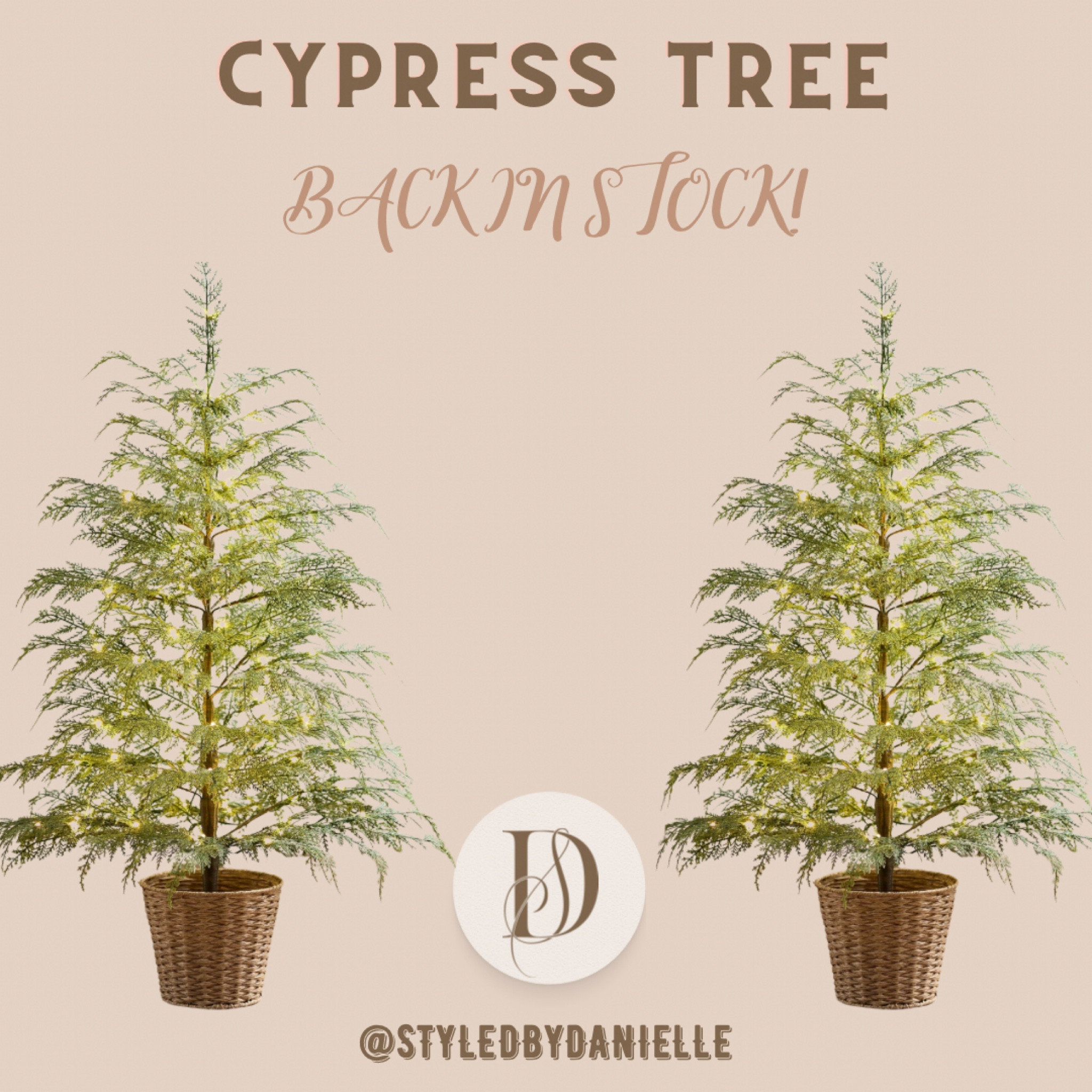 Run!!! These go so fast! 

#LTKHome #LTKSeasonal