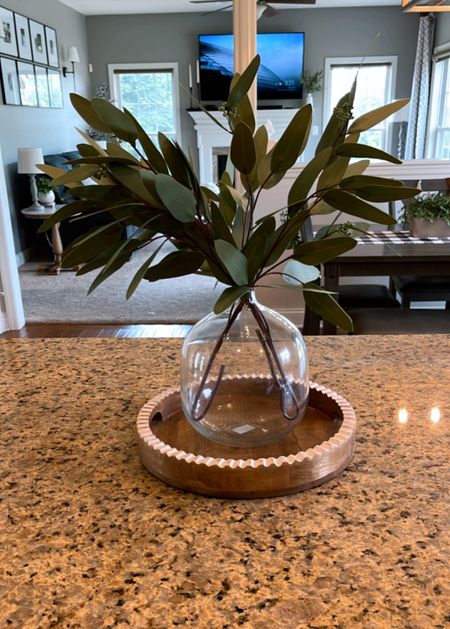 I love how these two items from Amazon look together! The vase & faux eucalyptus stems are exactly the look I was for for 🪴 🤍
Perfect island center piece 

#LTKFindsUnder50 #LTKHome #LTKStyleTip