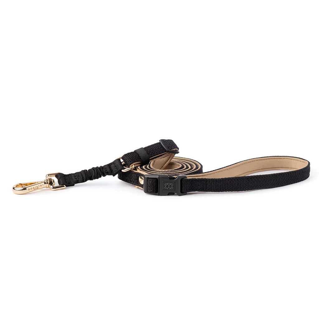 3-in-1 City Dog Leash - Crosby | DOGISTRY