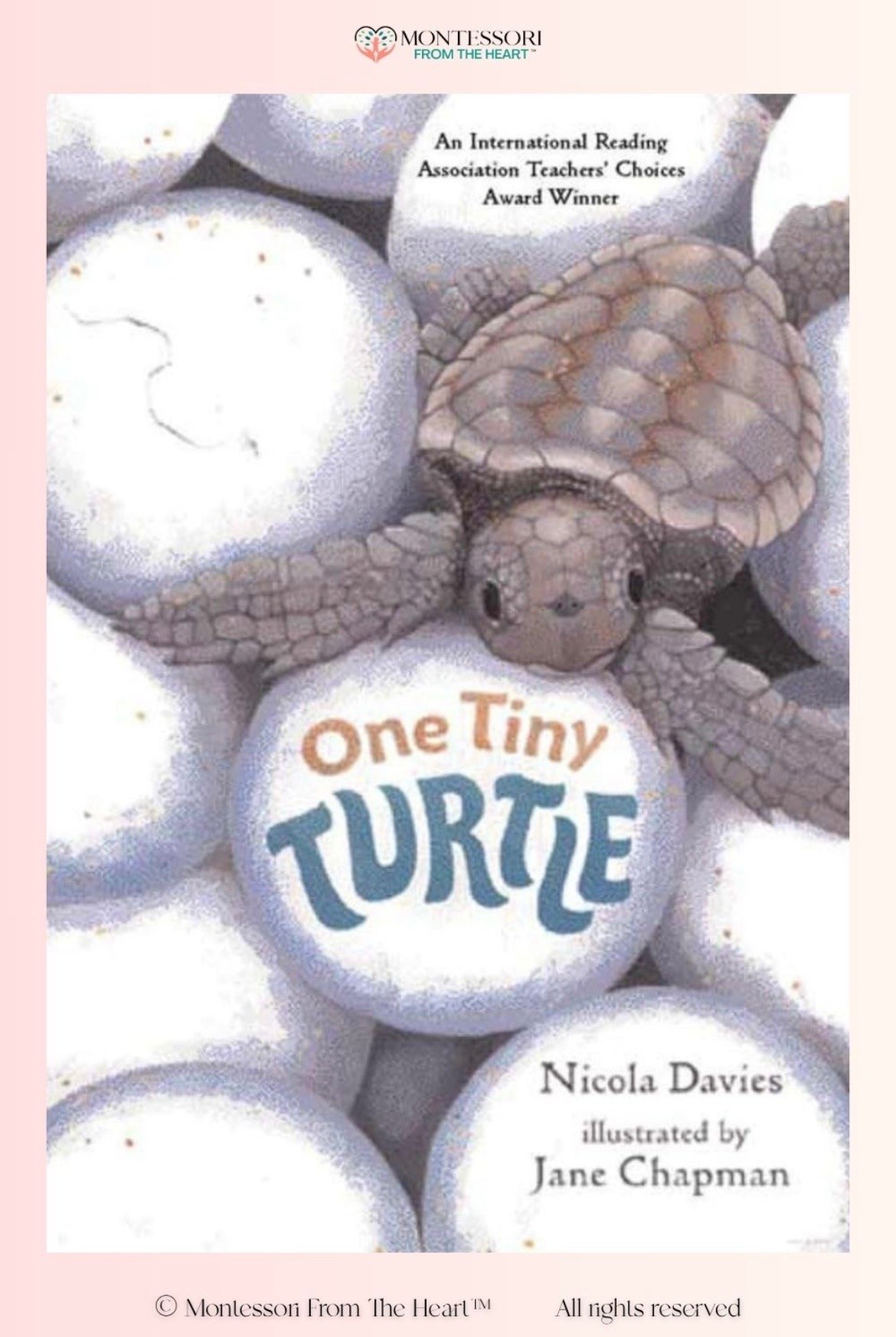 One Tiny Turtle ~ Book for Kids

#LTKhome #LTKkids #LTKgiftguide