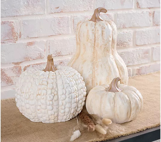 Martha Stewart Set of 3 Indoor/Outdoor Decorative Pumpkins - QVC.com | QVC