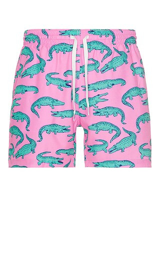 The Glades 5.5" Classic Swim Trunk in Pink | Revolve Clothing (Global)