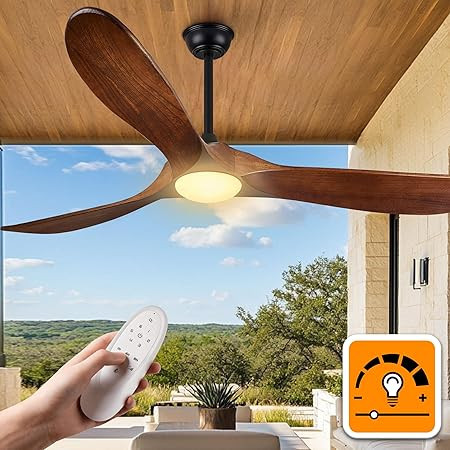 Haipeel 52 Inch Outdoor Ceiling Fans with Lights, Propeller Solid Wood Ceiling Fan with Light and... | Amazon (US)