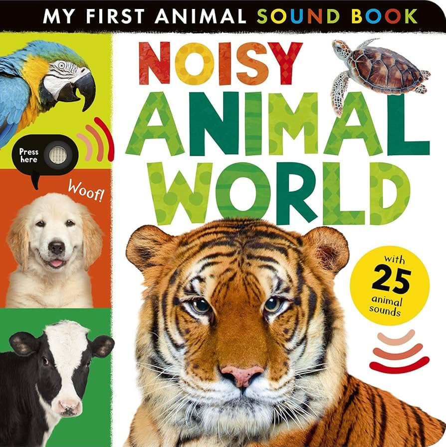 Noisy Animal World: My First Animal Sound Book | Amazon (US)