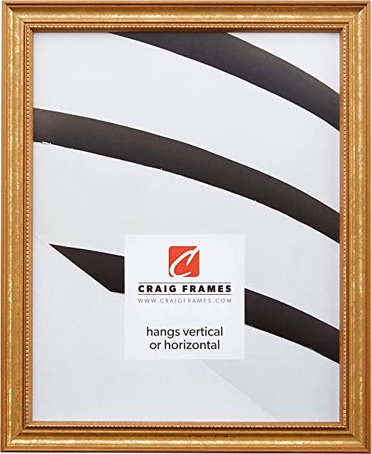 Craig Frames 12x18 Ornate Gold Picture Frame, 0.75" Wide, Decorative Photo Frame | Amazon (US)