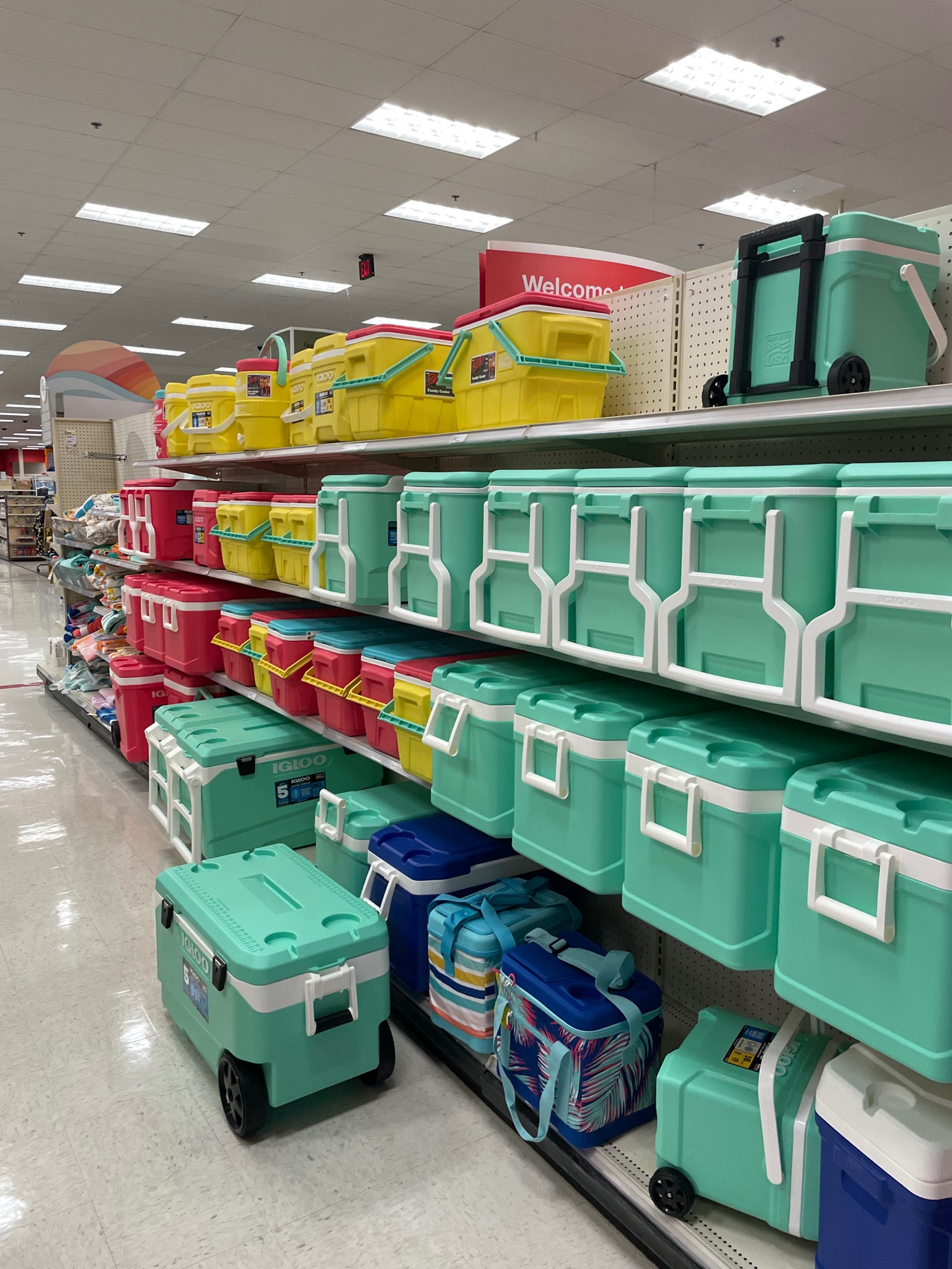 Igloo 38-Qt Rolling Cooler at Target, now 20% off

#LTKGiftGuide #LTKSeasonal #LTKfindsunder50