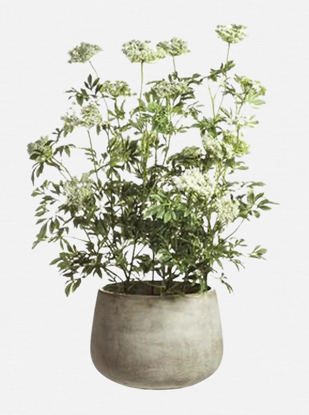 Potted Faux Queen Anne's Lace | House of Jade Home