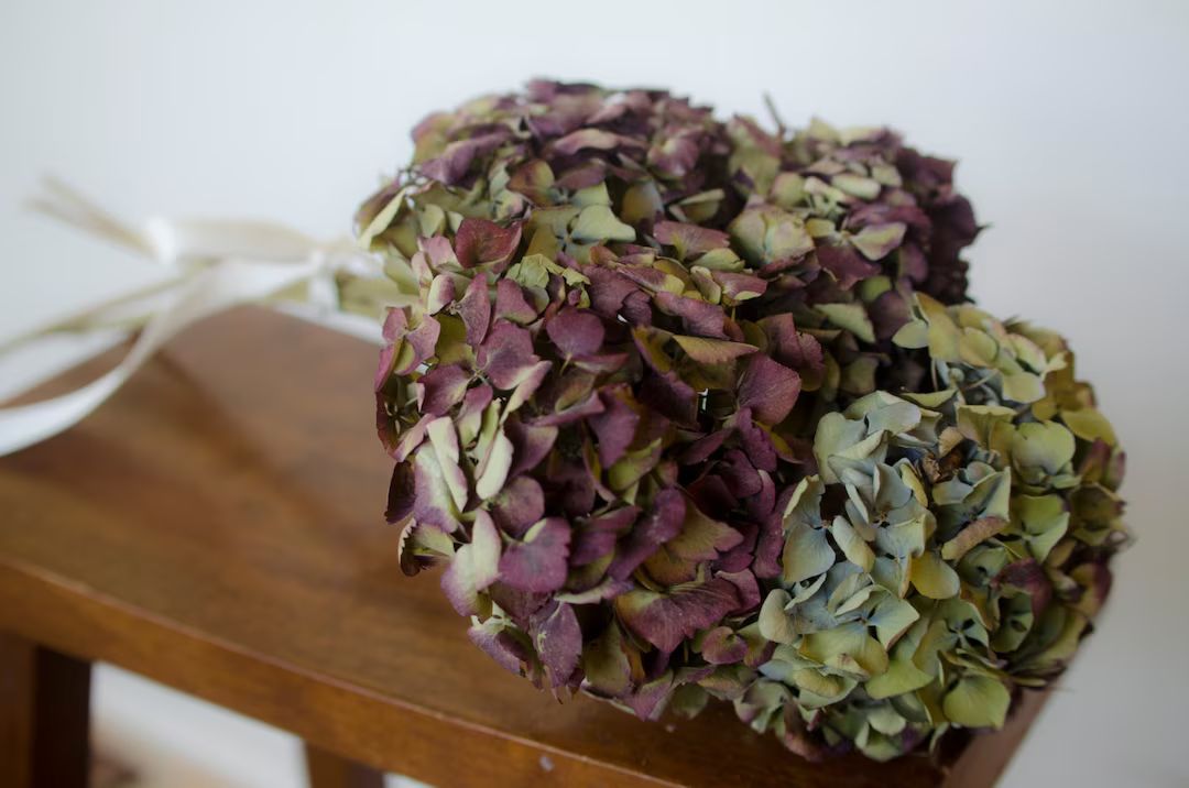 Dried burgundy-toned hydrangeas, burgundy hydrangeas, dried hydrangeas, burgundy wedding, wedding... | Etsy (US)