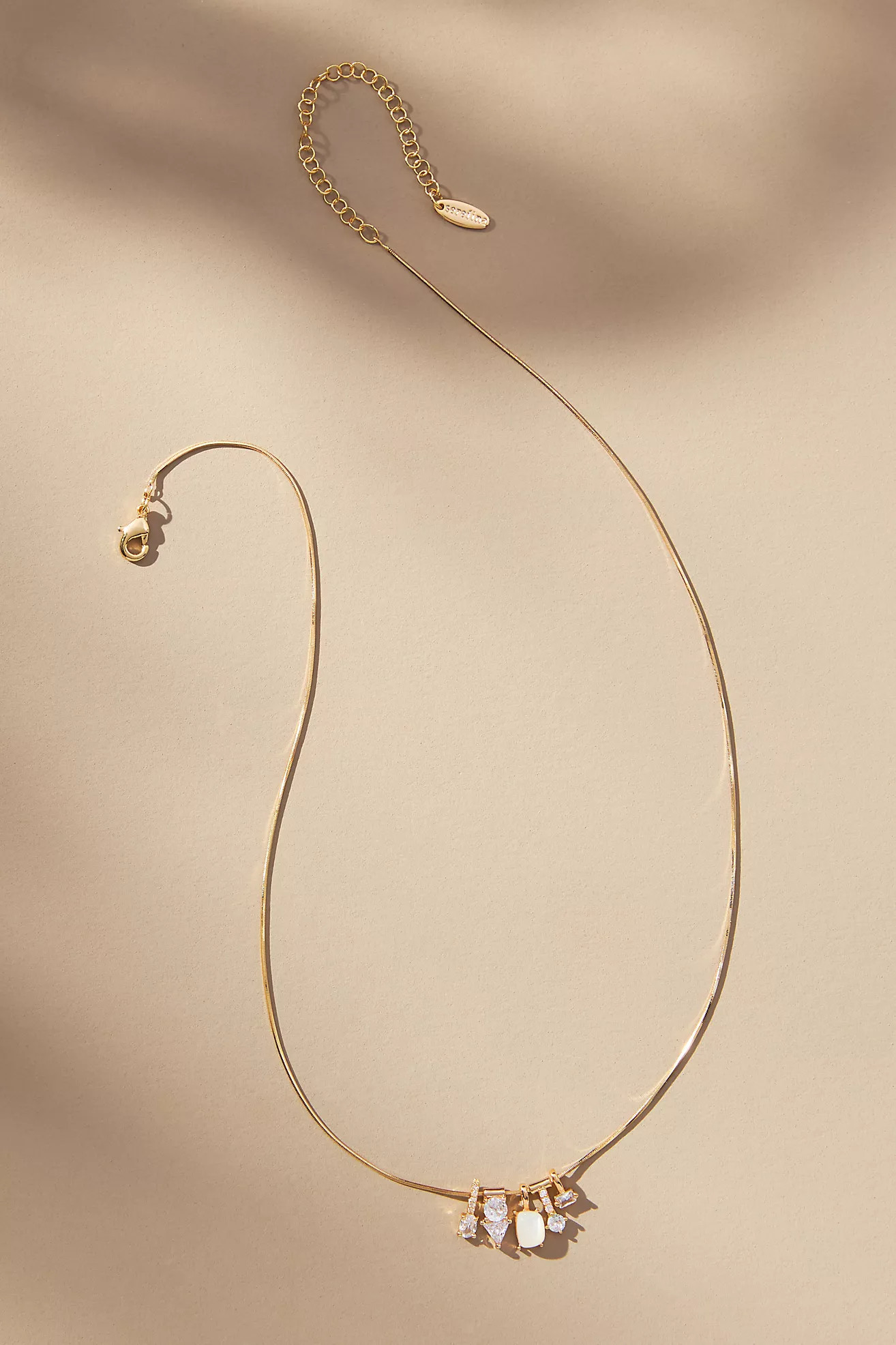Delicate Charm Necklace | Anthropologie (US)