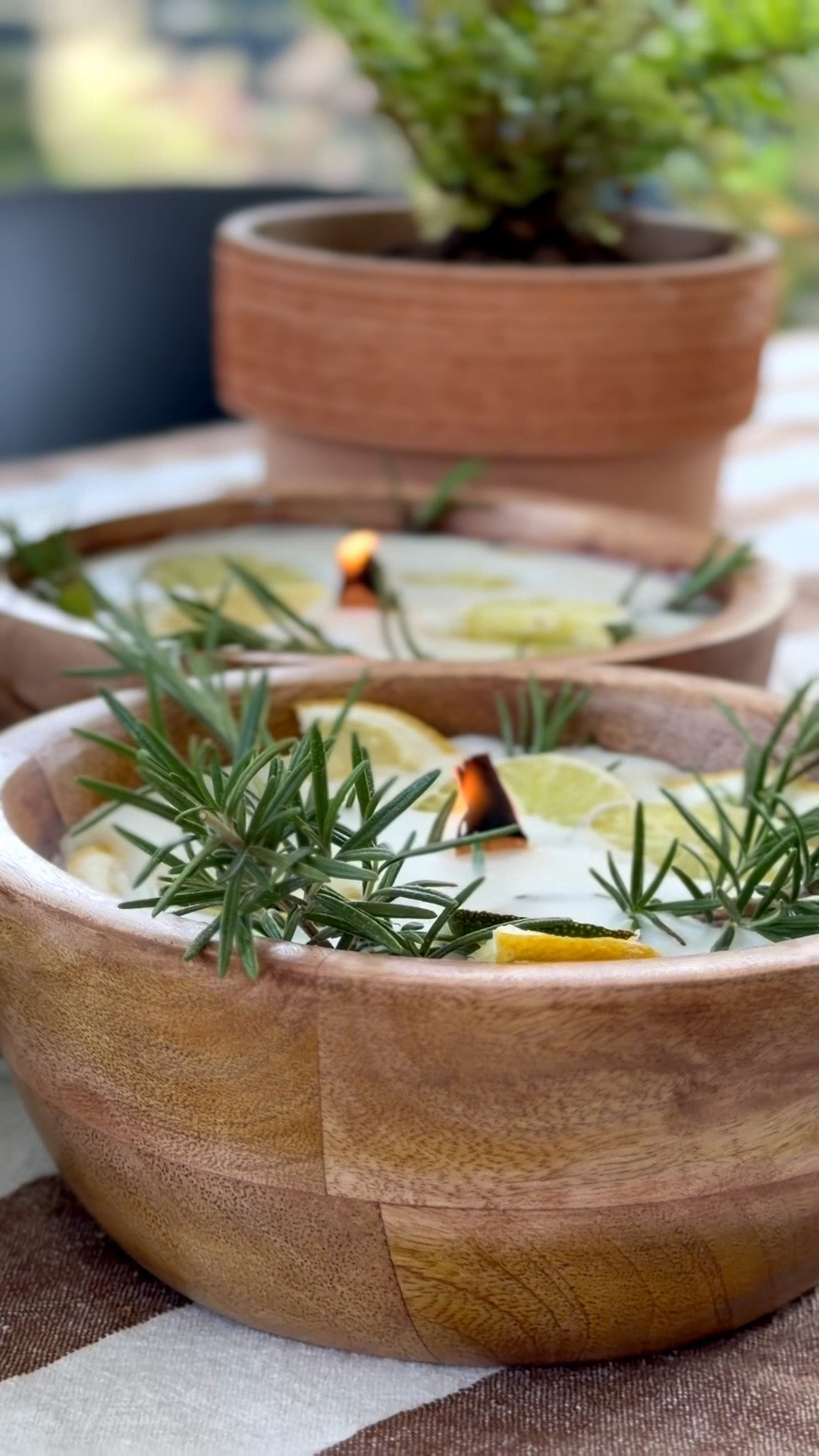 DIY Citronella-Kerze

#LTKdeutschland #LTKsummer #LTKhome