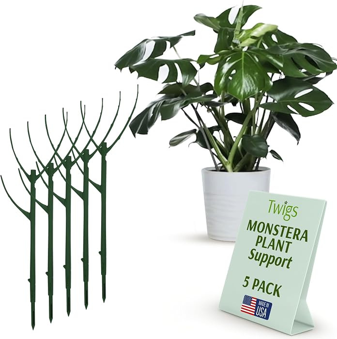 Twigs GA - Stackable Monstera Plant Support Stakes, Climbing Support for Indoor & Outdoor Use, Pl... | Amazon (US)