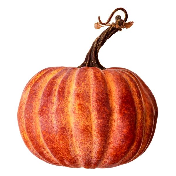 Latex Harvest Vine Pumpkin | Wayfair North America