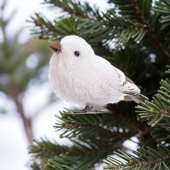 The Bridge Collection White Glittered Clip-On Bird Ornaments - Set of 3 Assorted - White Bird Orn... | Amazon (US)