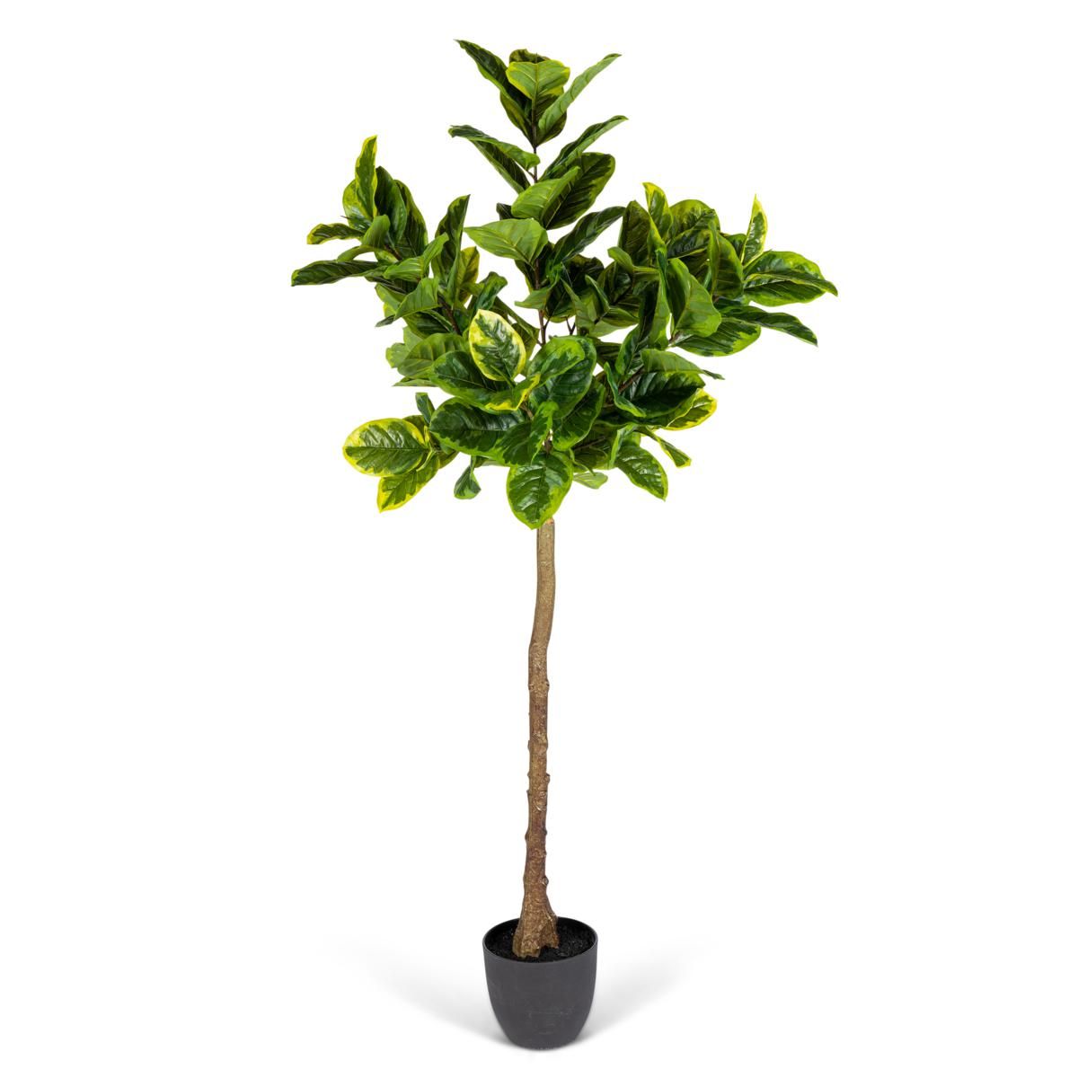 The Gerson Co. Real Touch Realistic Variegated Ficus in Plastic Pot | HSN