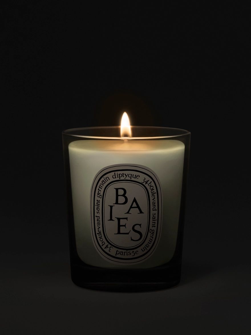 Baies (Berries)
            Small candle | diptyque (US)