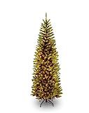 Amazon.com: National Tree Company Artificial Pre-Lit Slim Christmas Tree, Green, Kingswood Fir, W... | Amazon (US)