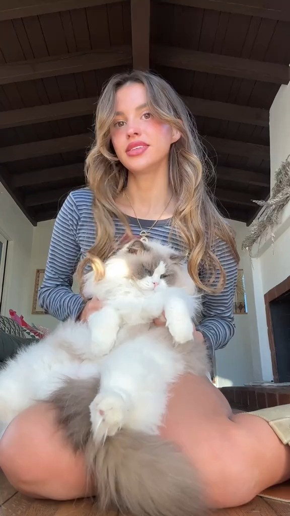   

 #LTKSeasonal #LTKFindsUnder50 #LTKFamily