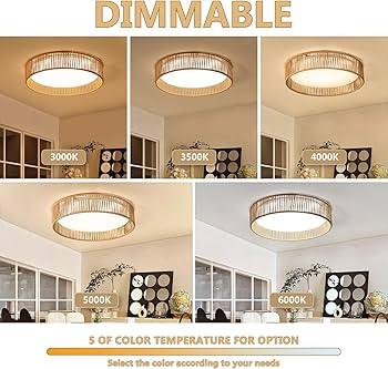 Rattan Overhead Light Fixture, 24W 16.9inch LED Dimmable Handwoven Boho Light Fixture 5CCT 3000K-... | Amazon (US)