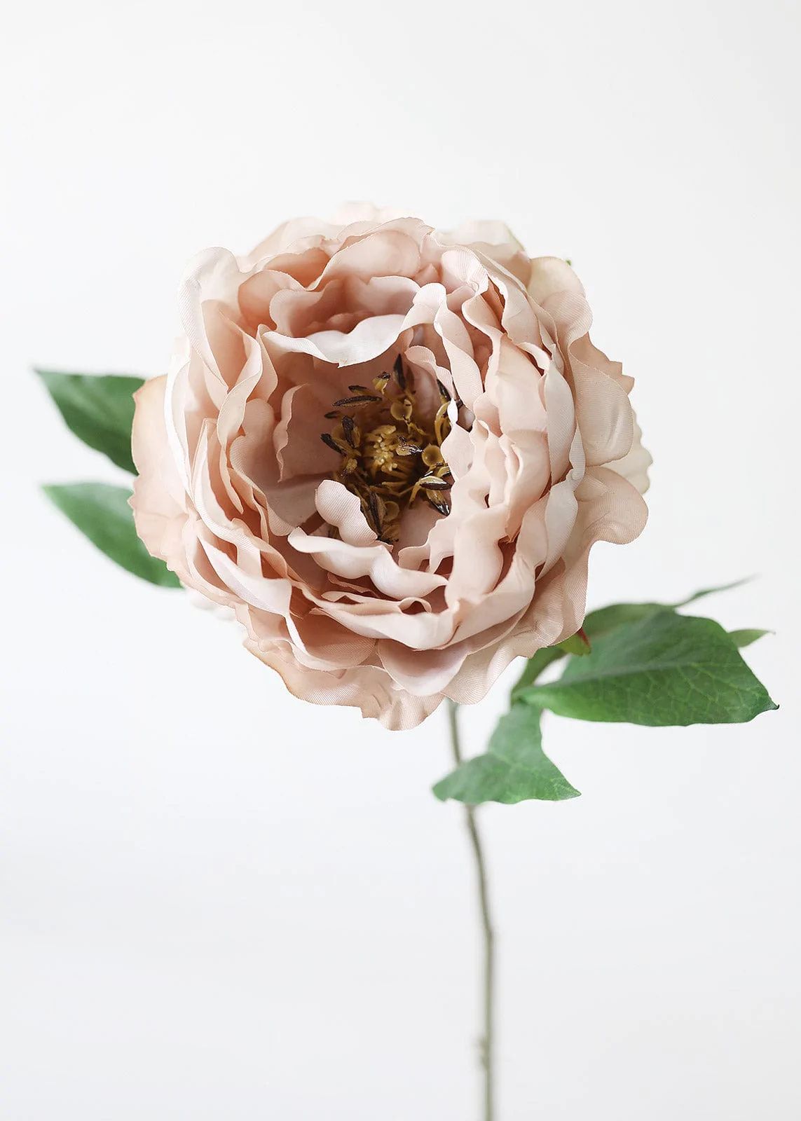 Beige Mauve Peony Stem | Fall Silk Wedding Flowers | Afloral.com | Afloral
