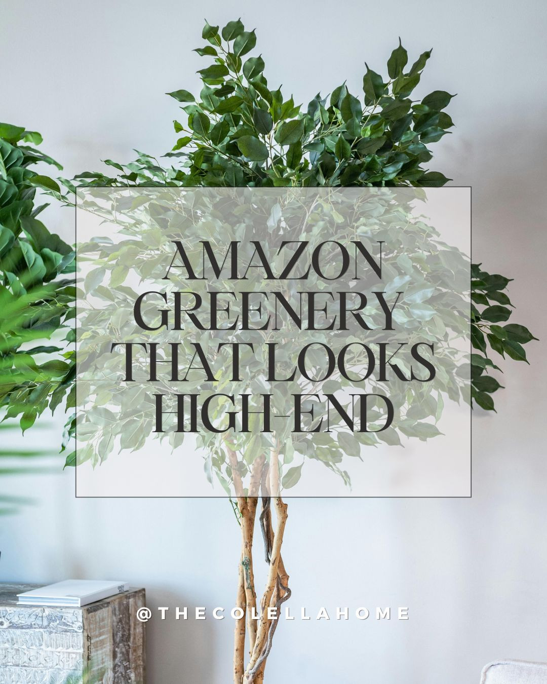 Amazon greenery finds for your home! Top decor finds with a high-end look. Indoor plant, home decor, earthy, modern organic, Amazon home finds. 

 #LTKHome #LTKFindsUnder50 #LTKFindsUnder100
