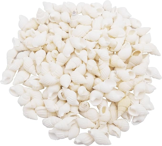90grams About 250pcs White Tiny Seashell Natural Beach Spiral Shells Craft Charms Mini Conch for ... | Amazon (US)