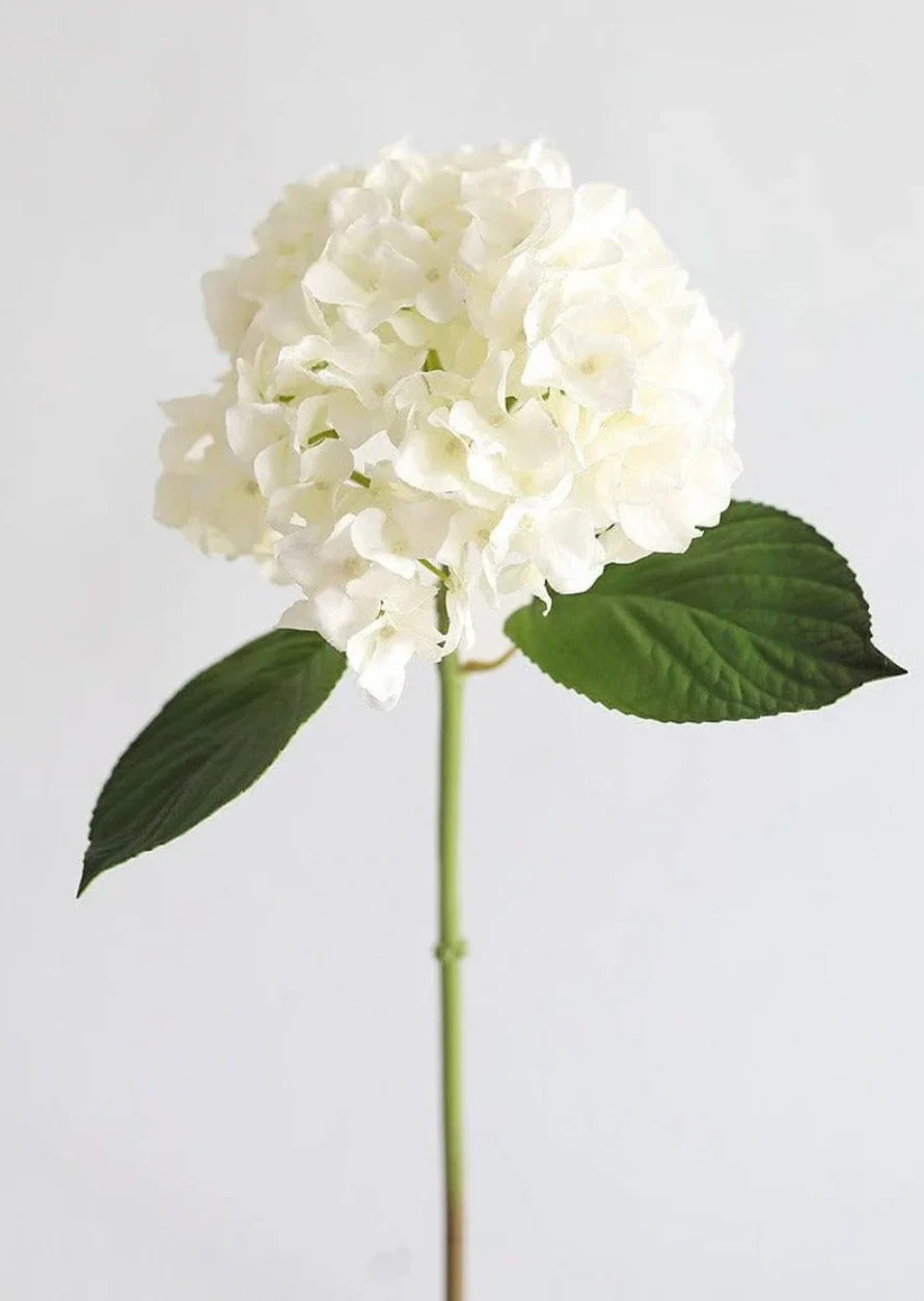 Real Touch Hydrangea Stem in Talc White - 18 | Cottage and Key