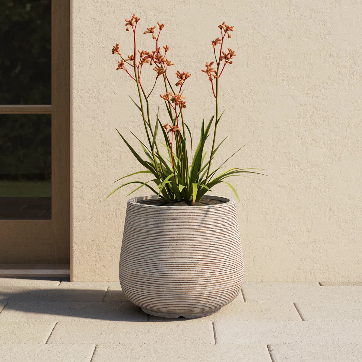 Paloma Handmade Pot Planter | Joss & Main