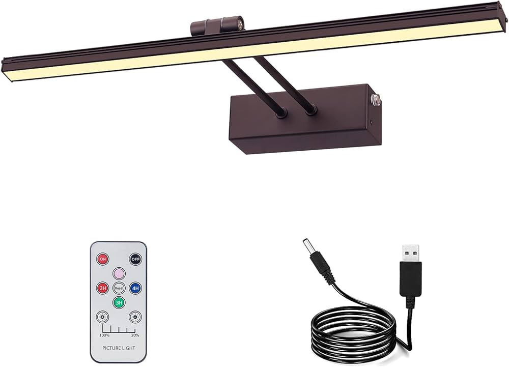 FUNCHDAY Picture Light,20" Battery Picture Light for Wall,5000mAh Wireless Remote Painting Light ... | Amazon (US)