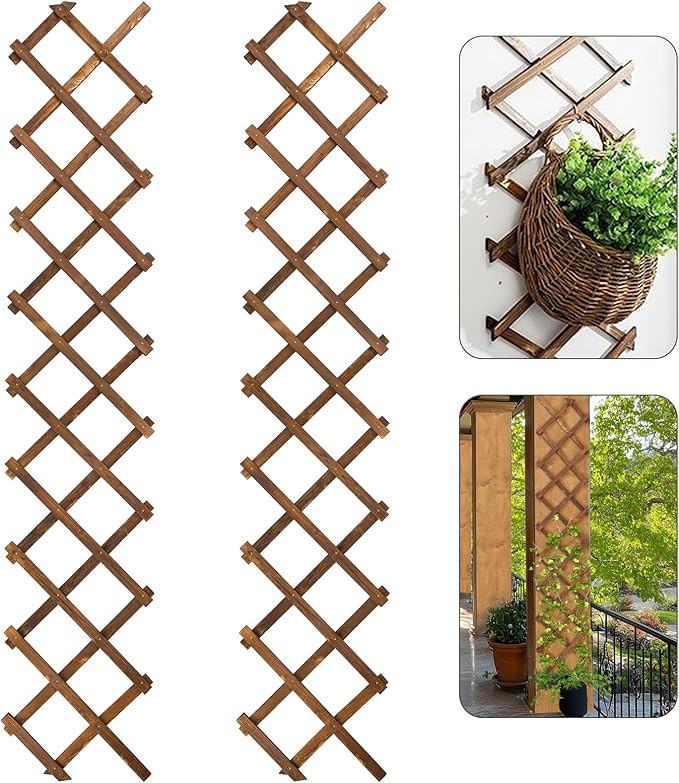 Pack of 2 Extra Thick Wooden Wall Trellis- Expandable Wall Planter Lattice Panels for Climbing Pl... | Amazon (US)
