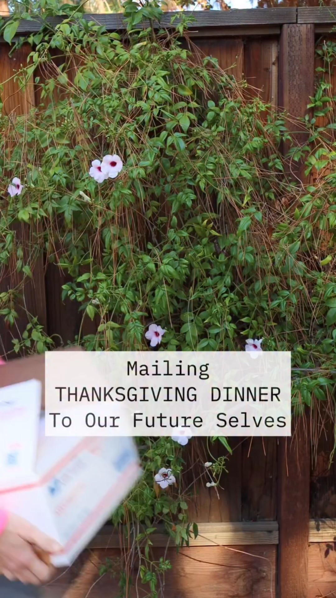 Thanksgiving will be sooooo good on the trail! We haven’t cooked a Thanksgiving dinner in a while, but we don’t think we missed any staples!

Fun fact: We tracked down the secret sweet potato pie family recipe from Tim’s aunt and learned… it’s just the recipe on the side of the can of yams! Still tastes amazing though!😅😂

#thanksgiving #mealprep #backpacking #dehydrating #freezedried #camping