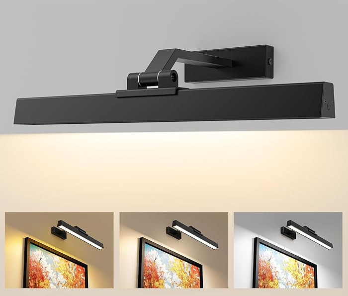 Picture Lights for Wall, Battery Operated Picture Light 16in Gallery Light for Paintings CCT Dimm... | Amazon (US)