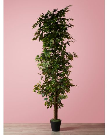 10ft Artificial Ficus In Growers Pot | HomeGoods