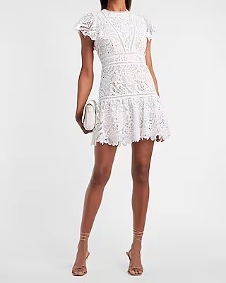 Lace Ruffle Sleeve Fit And Flare Dress | Express