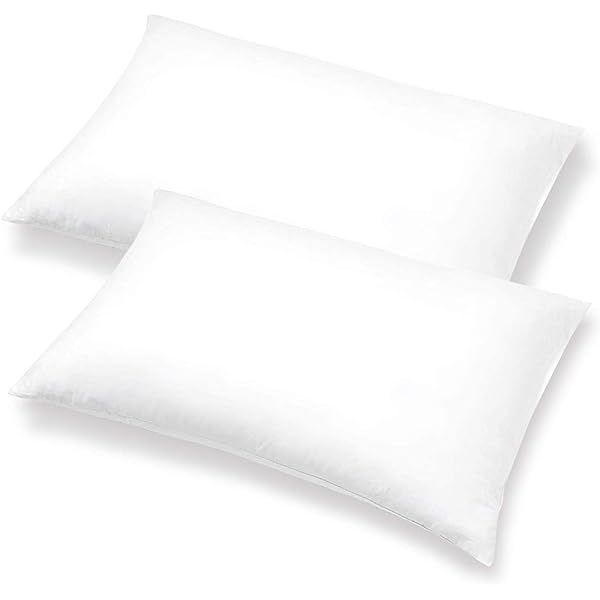 Pillow Insert 14" x 20" Polyester Filled Premium Fabric Cover (2 Pack) | Amazon (US)