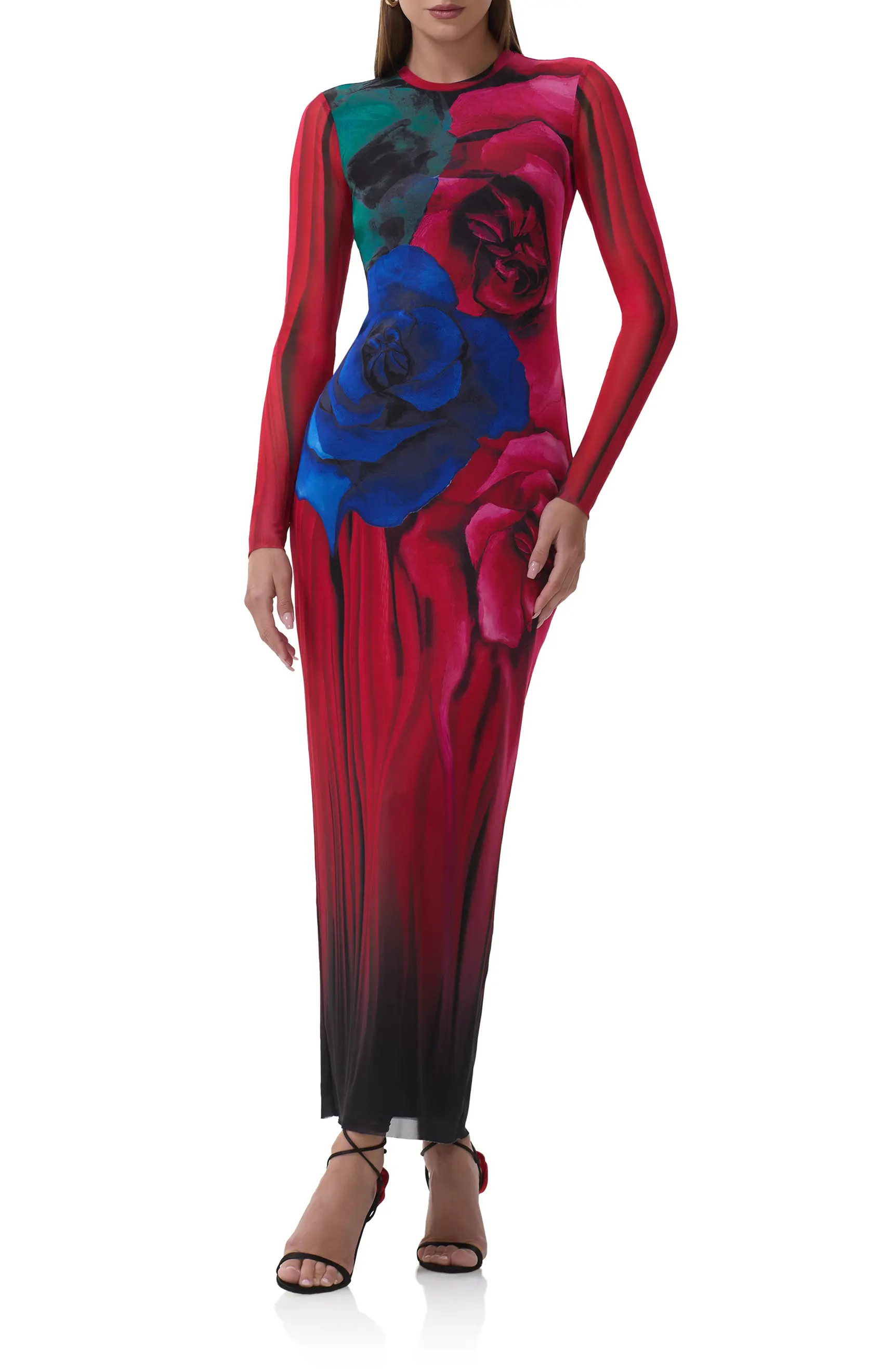 Didi Printed Long Sleeve Mesh Maxi Dress | Nordstrom