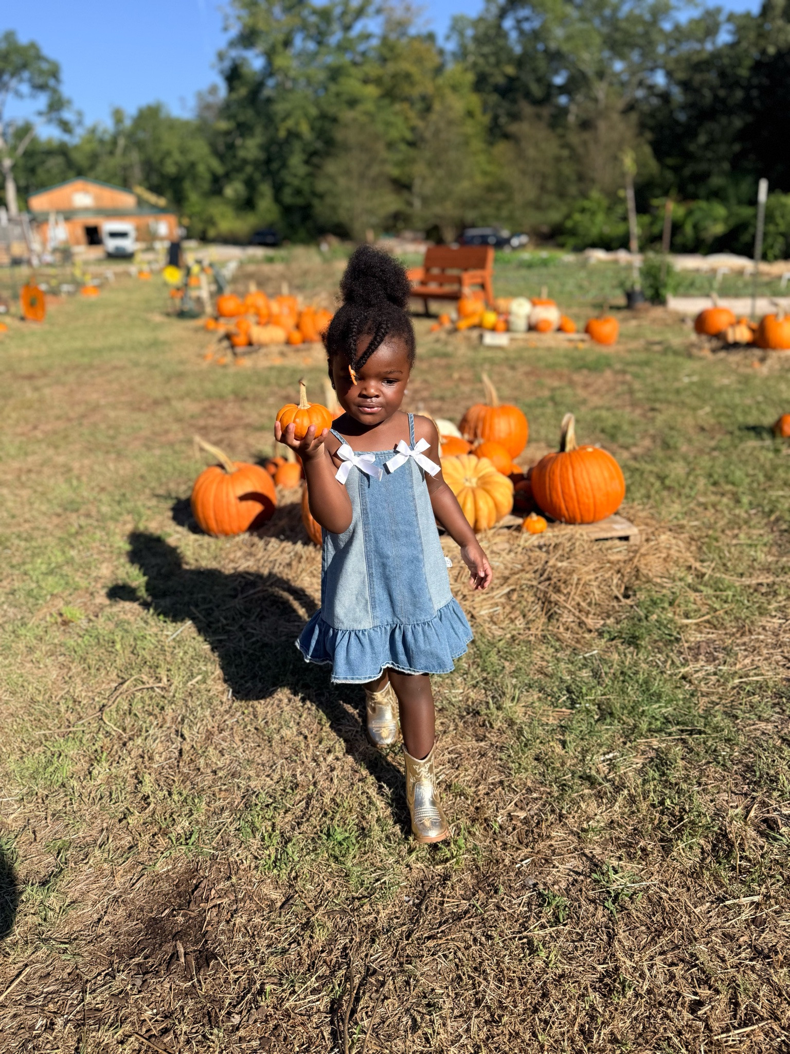 Pumpkin patch outfits for toddlers