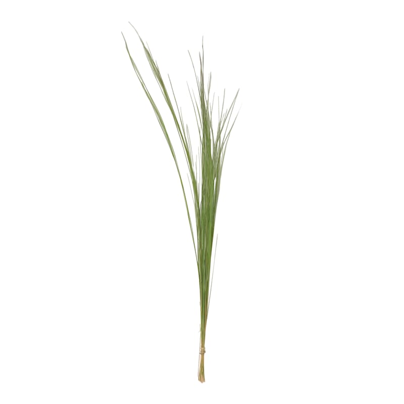 Misty Green Silver Grass Bundle, 30" | At Home