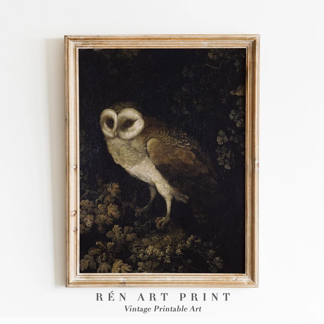 Antique Owl Painting  Dark Academia PRINTABLE Wall Art  - Etsy | Etsy (US)