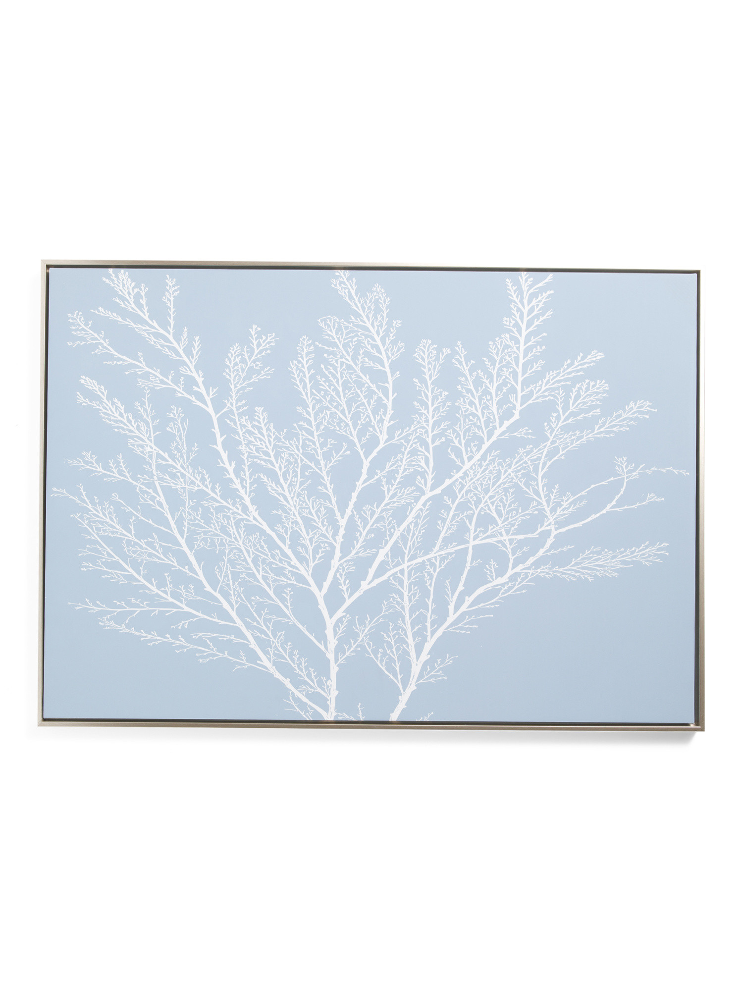 27x39 Mahana Coral Wall Art | Coastal | Marshalls | Marshalls