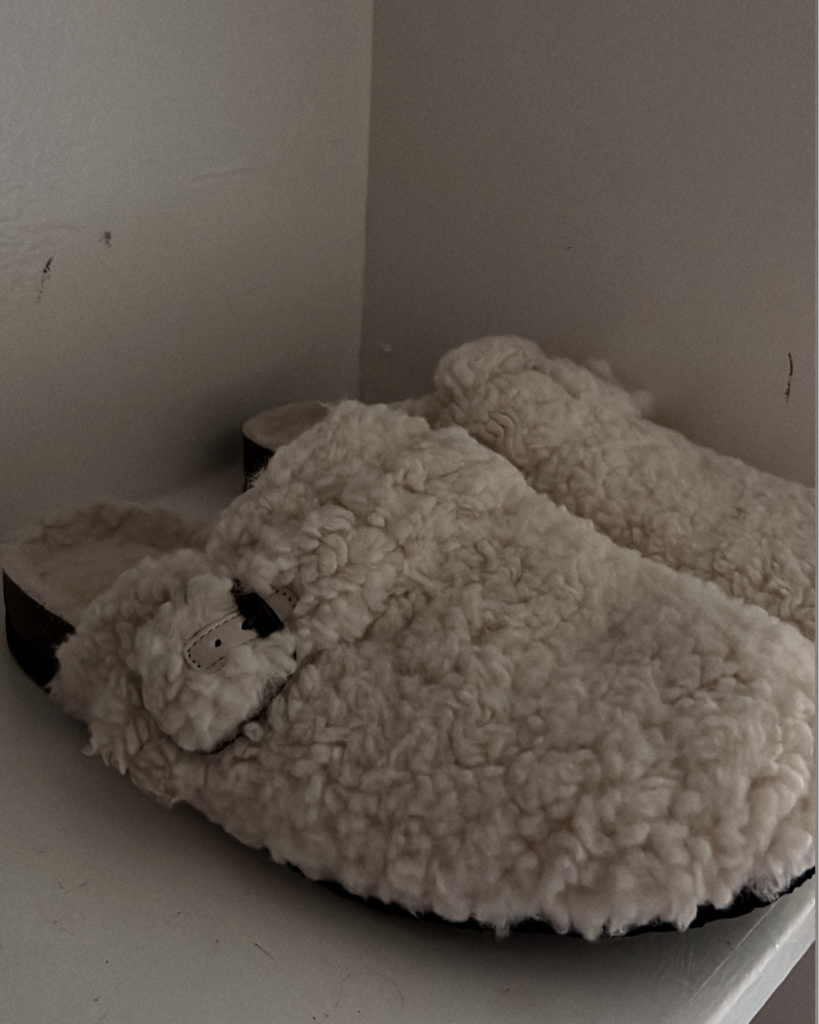 Cute fall Sherpa slides from target 🐑

#LTKSeasonal #LTKFindsUnder50