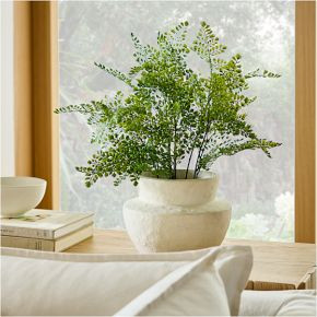 Faux Potted Maidenhair Fern Plant | West Elm (US)