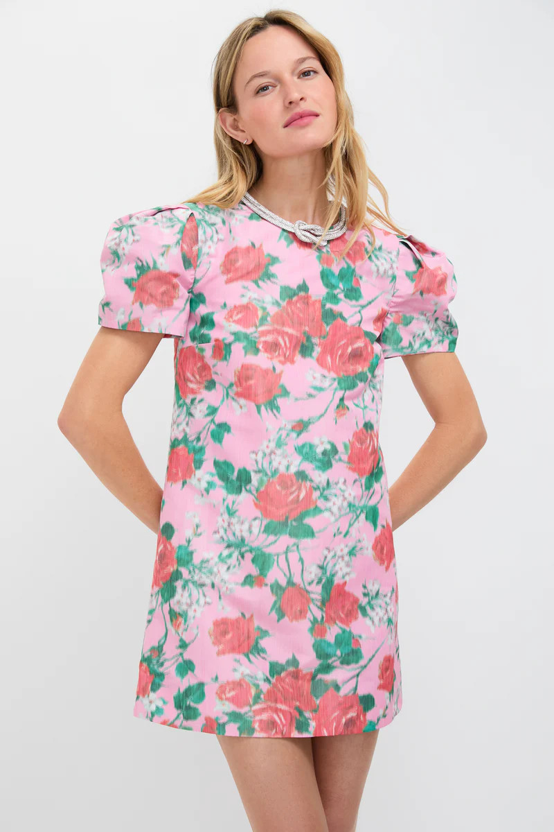 Rose Rosetta Taffeta Dress | Tuckernuck (US)