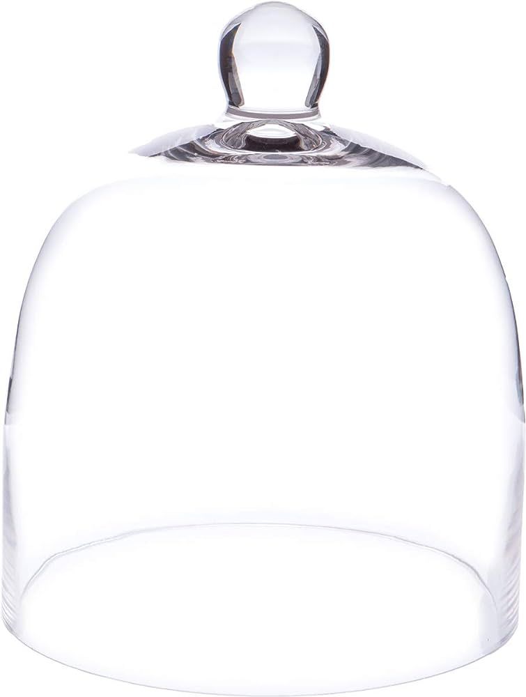 Plymor 7.875 inch x 9.5 inch Bell Jar Glass Display Dome Cloche (Interior size 7.5" x 7.75") | Amazon (US)
